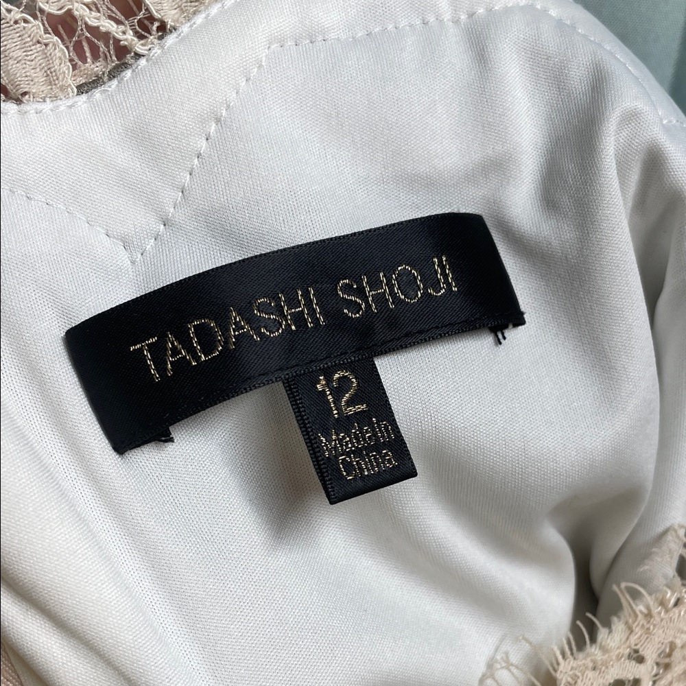 Tadashi Shoji Lace 3/4 Sleeve Dress in Cream and Tan with Belt - Picture 2 of 9
